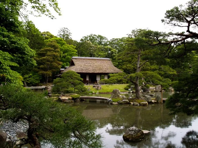 NeotericSlate_Trad-Japan_D21-Sm.jpg
