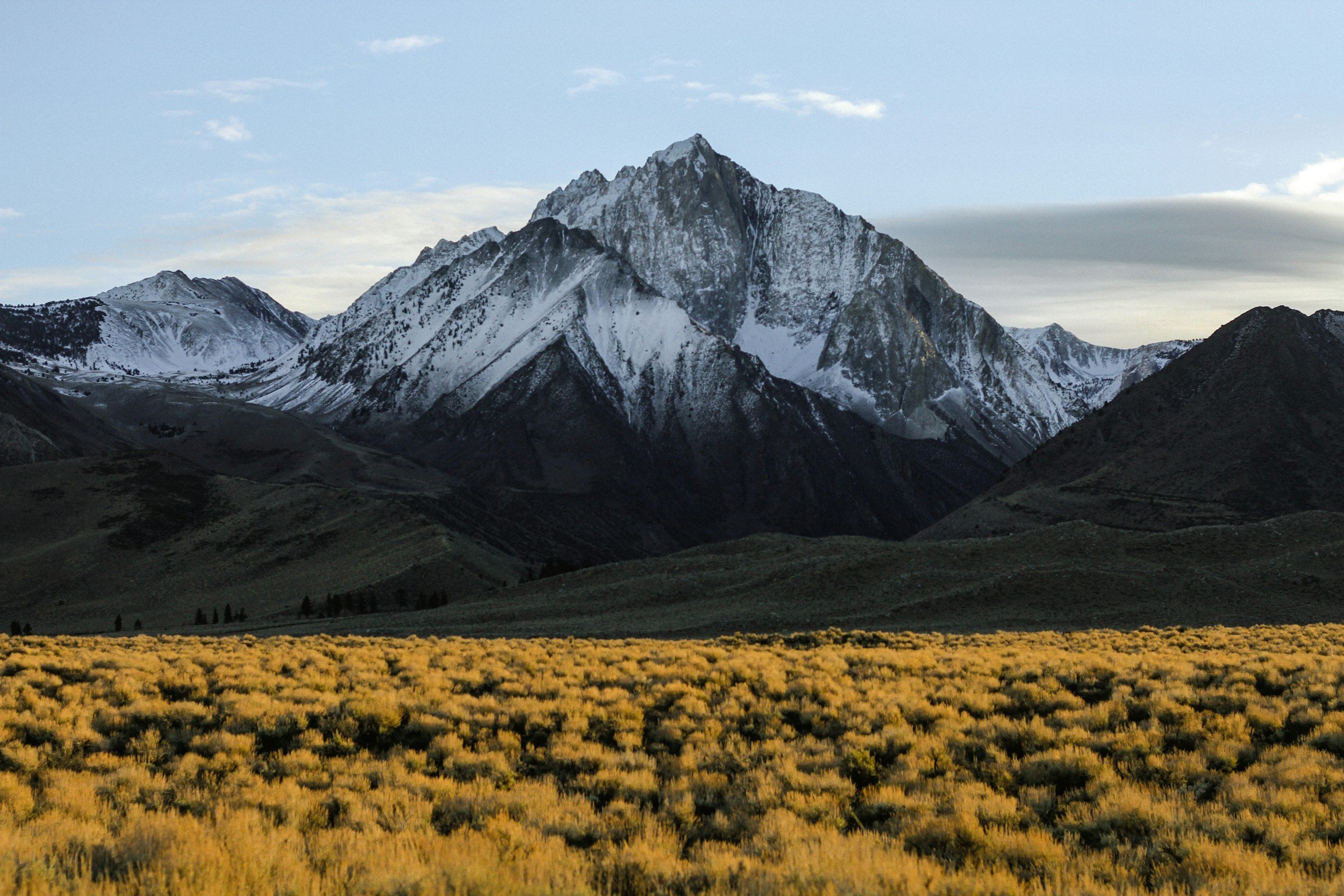 Snow-capped mountain range with a foreground of yellow shrubbery and rolling green hills.