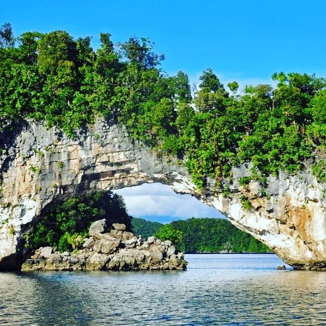 ✨ Happy Independence Day, Palau! 
Today, we celebrate the independence of the Republic of Palau, a proud Pacific nation known for its breathtaking islands, rich traditions, and strong commitment to protecting both its people and its environment.
On
