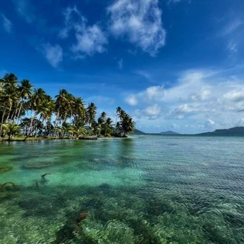 Count us. Care for us.
For families from the Freely Associated States (FAS) - the Federated States of Micronesia, the Republic of the Marshall Islands, and Palau - mental health is personal and structural. At home, there are too few specialists acros