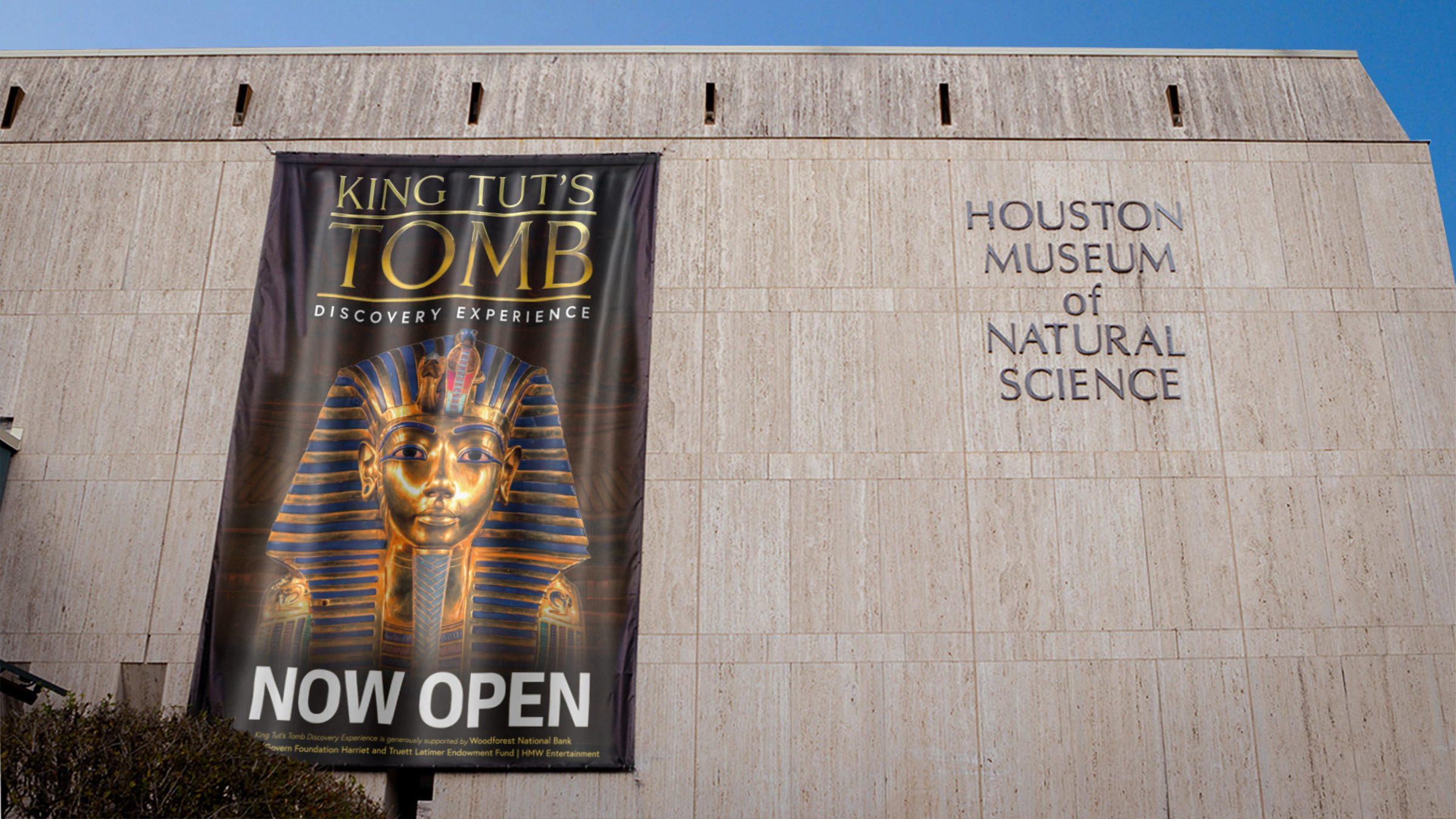 King-Tut-Highlight-7.jpg