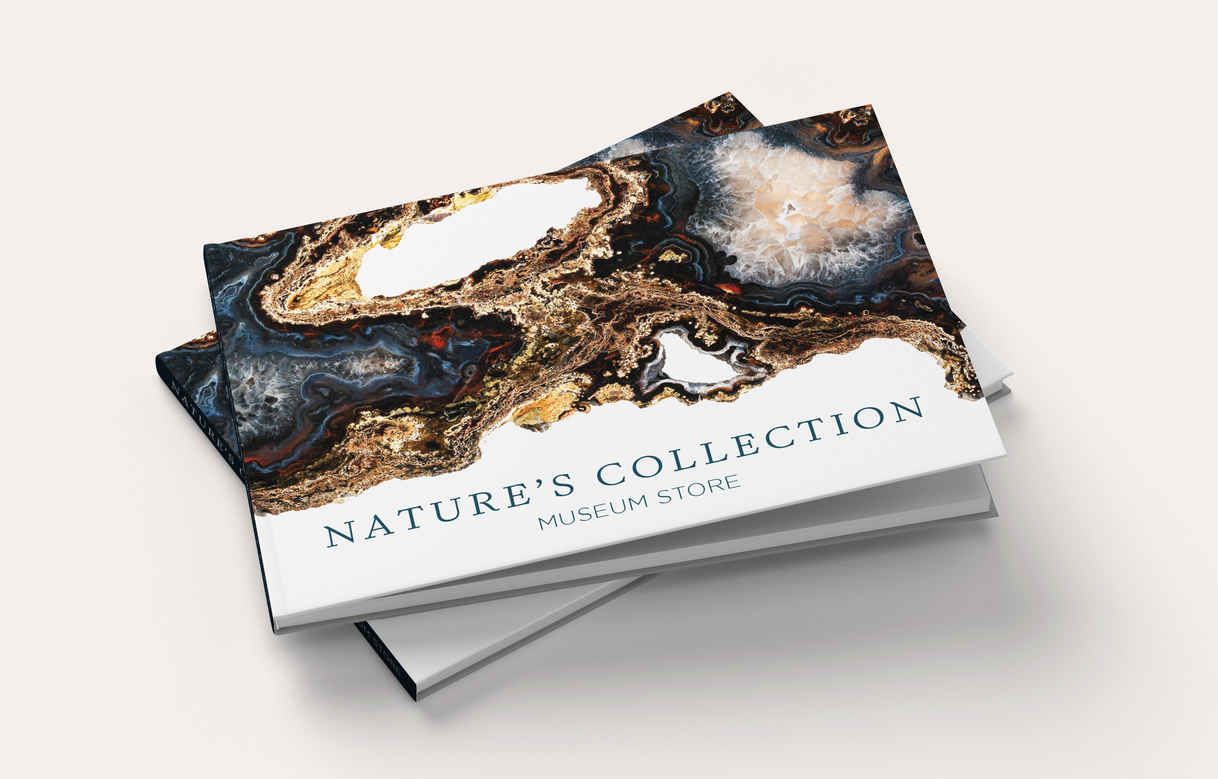 NC_Book_Mockup_10.jpg