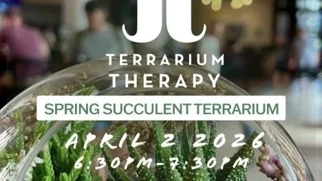 Terrarium Therapy Spring Succilent Workshop