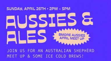 Aussies and Ales