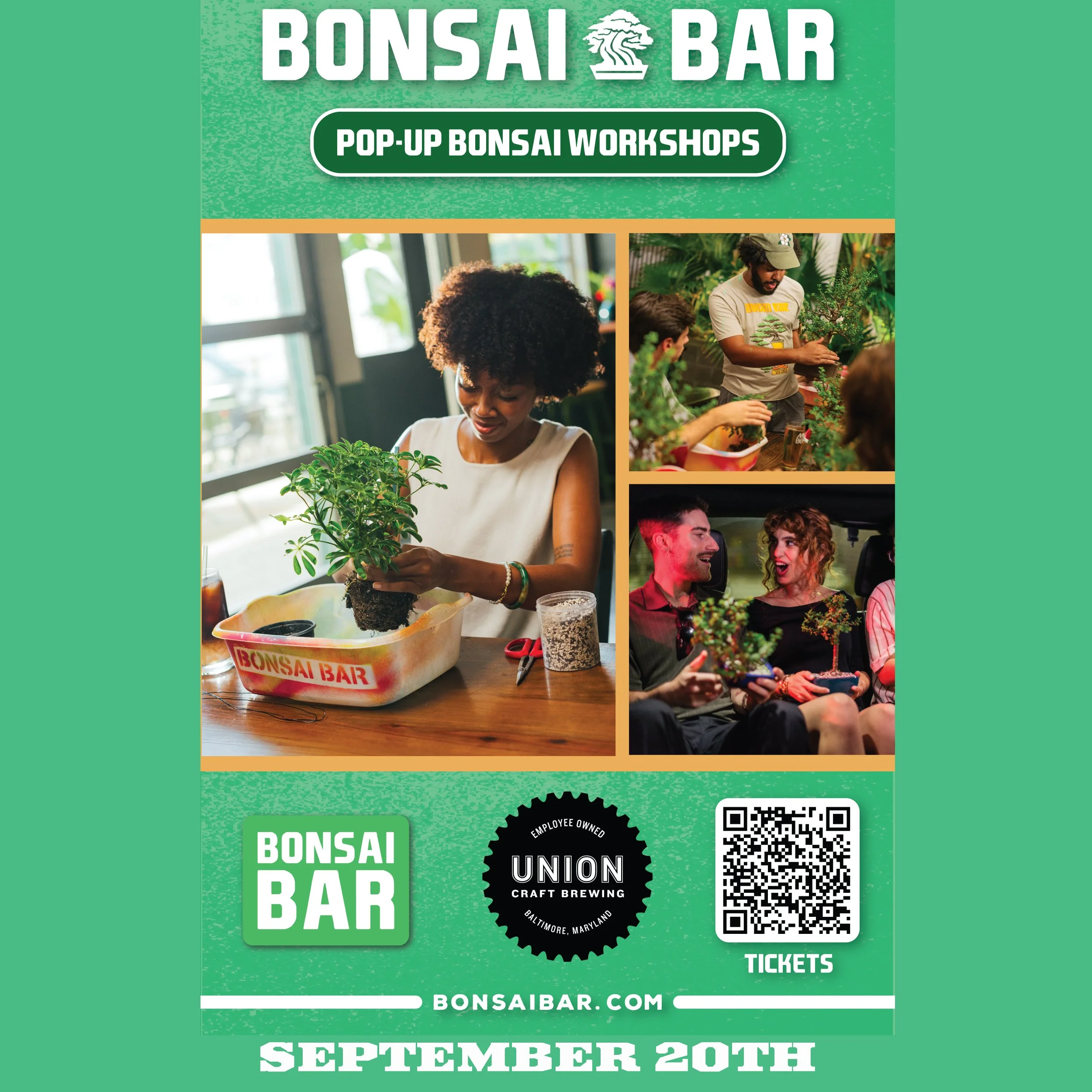 Bonsai Bar