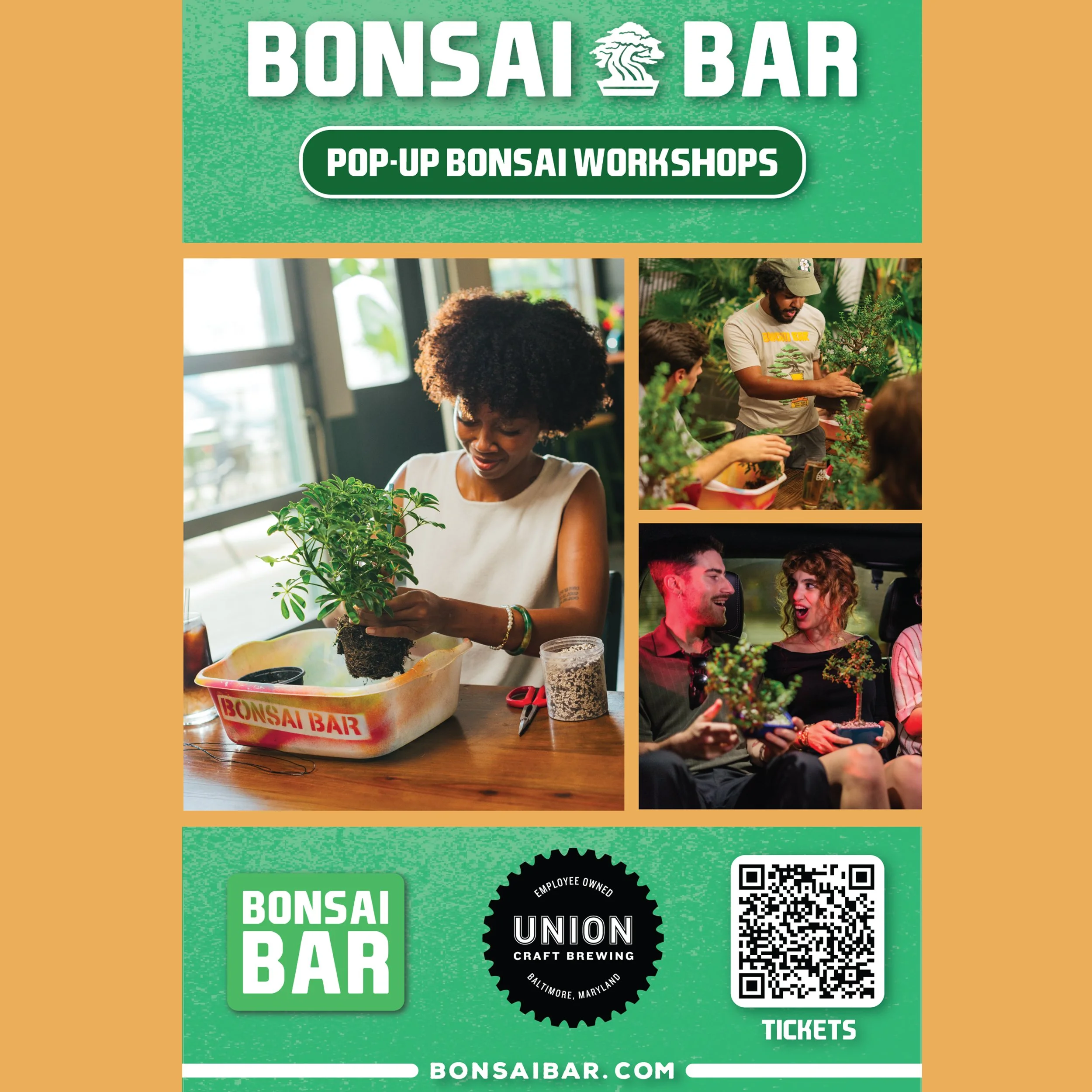 Bonsai Bar 