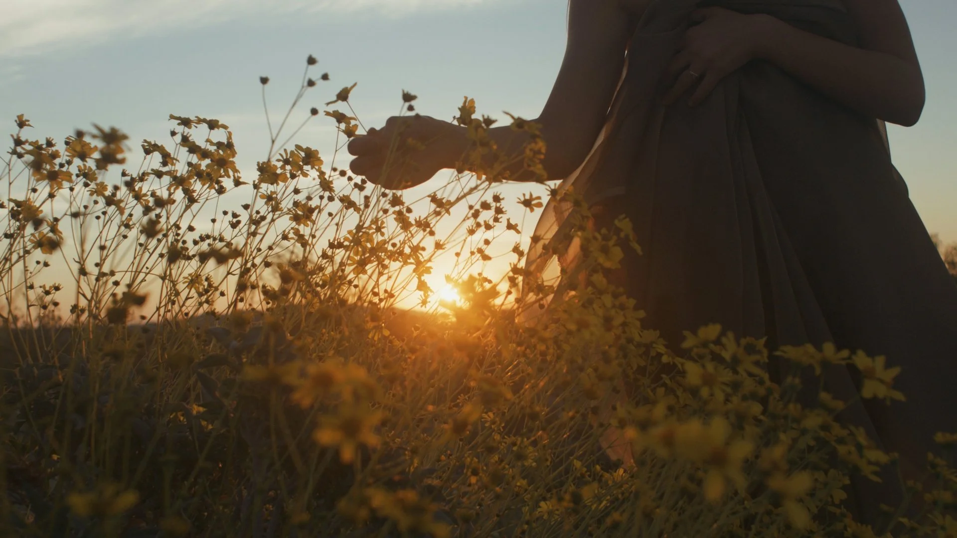 Person in a dress standing in a field of yellow flowers during sunset, with the sun visible near the horizon.