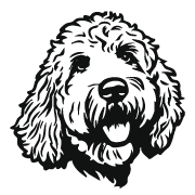 Dogs-06.png