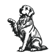 Dogs-03.png