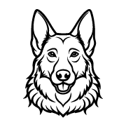Dogs-11.png