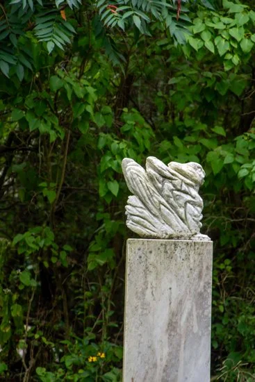 DSC_9115.jpg