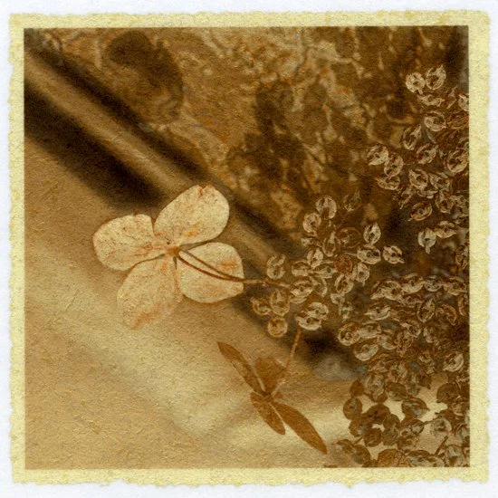Bouquet of Textures