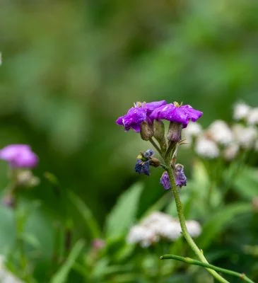DSC_9578.jpg