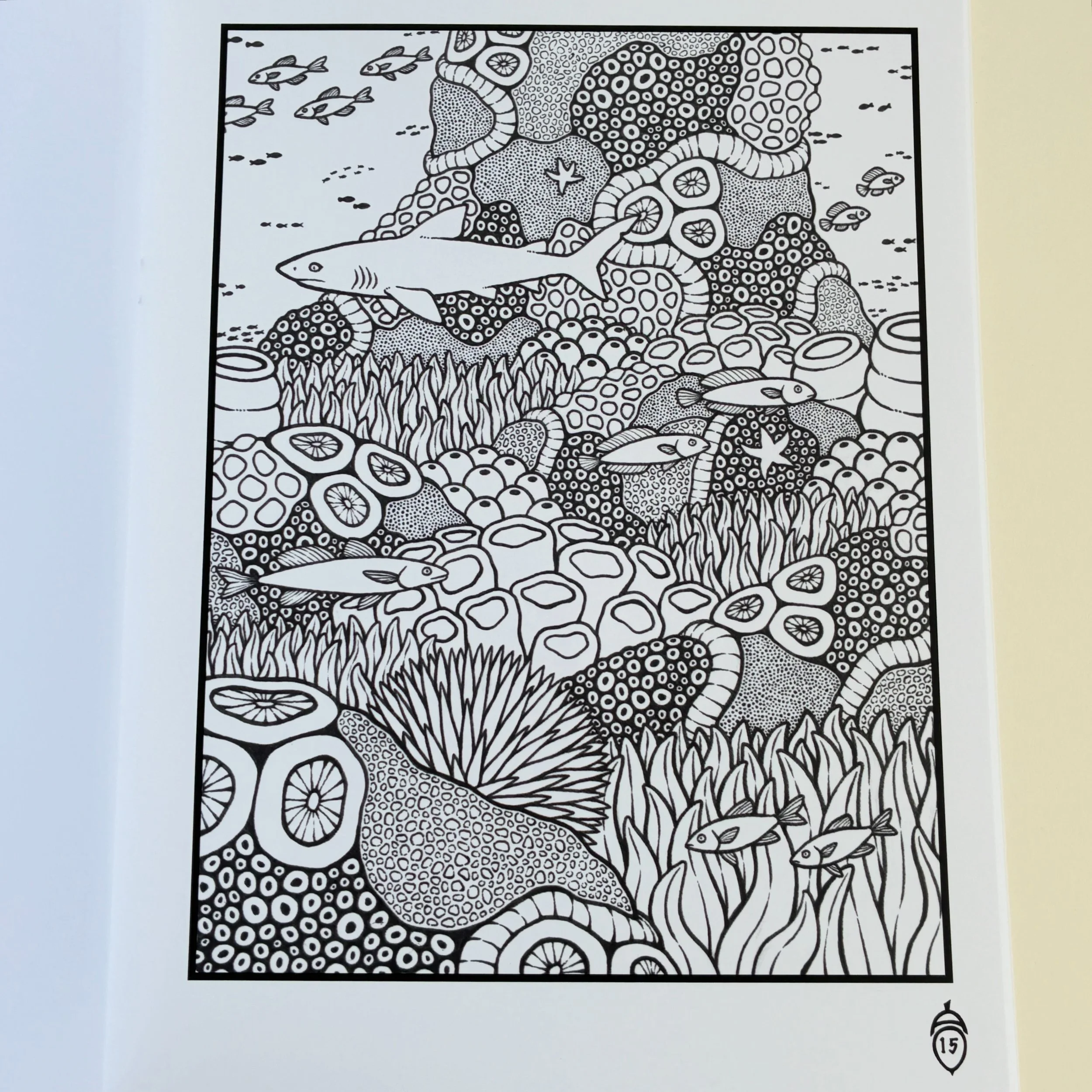 F463AB5E-E895-43FD-A410-DF1AAD7F0E7A.JPG