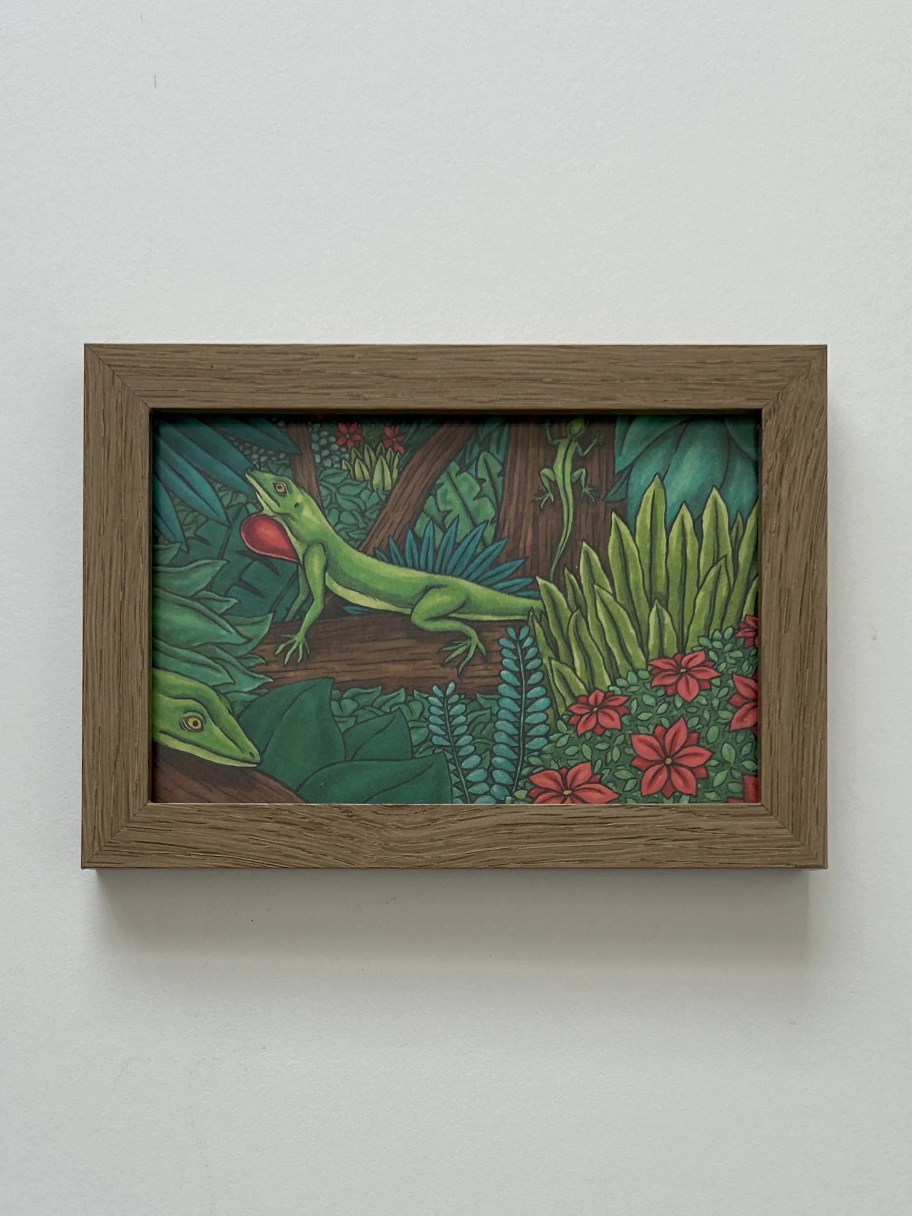 Anoles - Original Framed Artwork