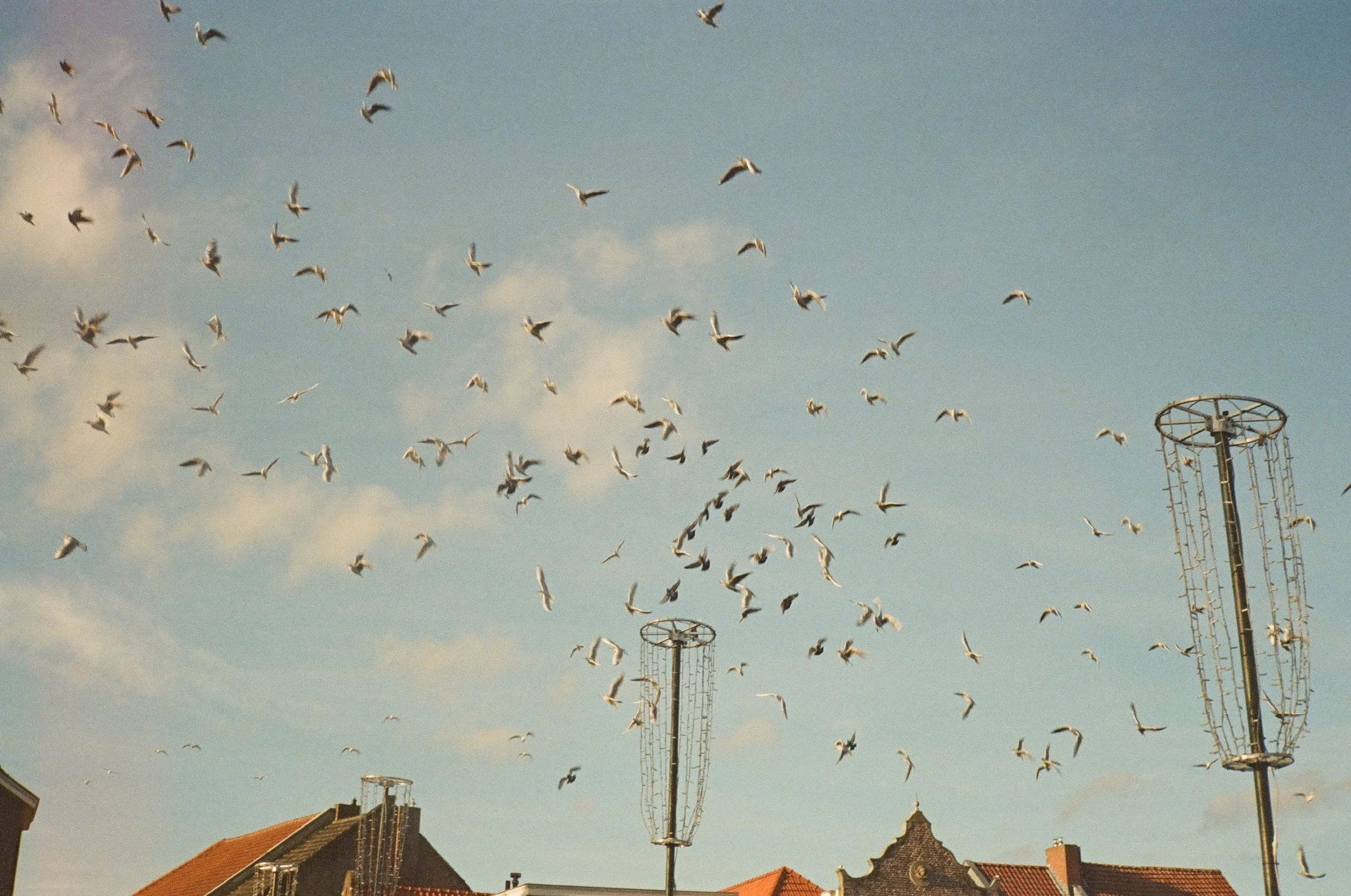 Roermond, The Netherlands, December 2025