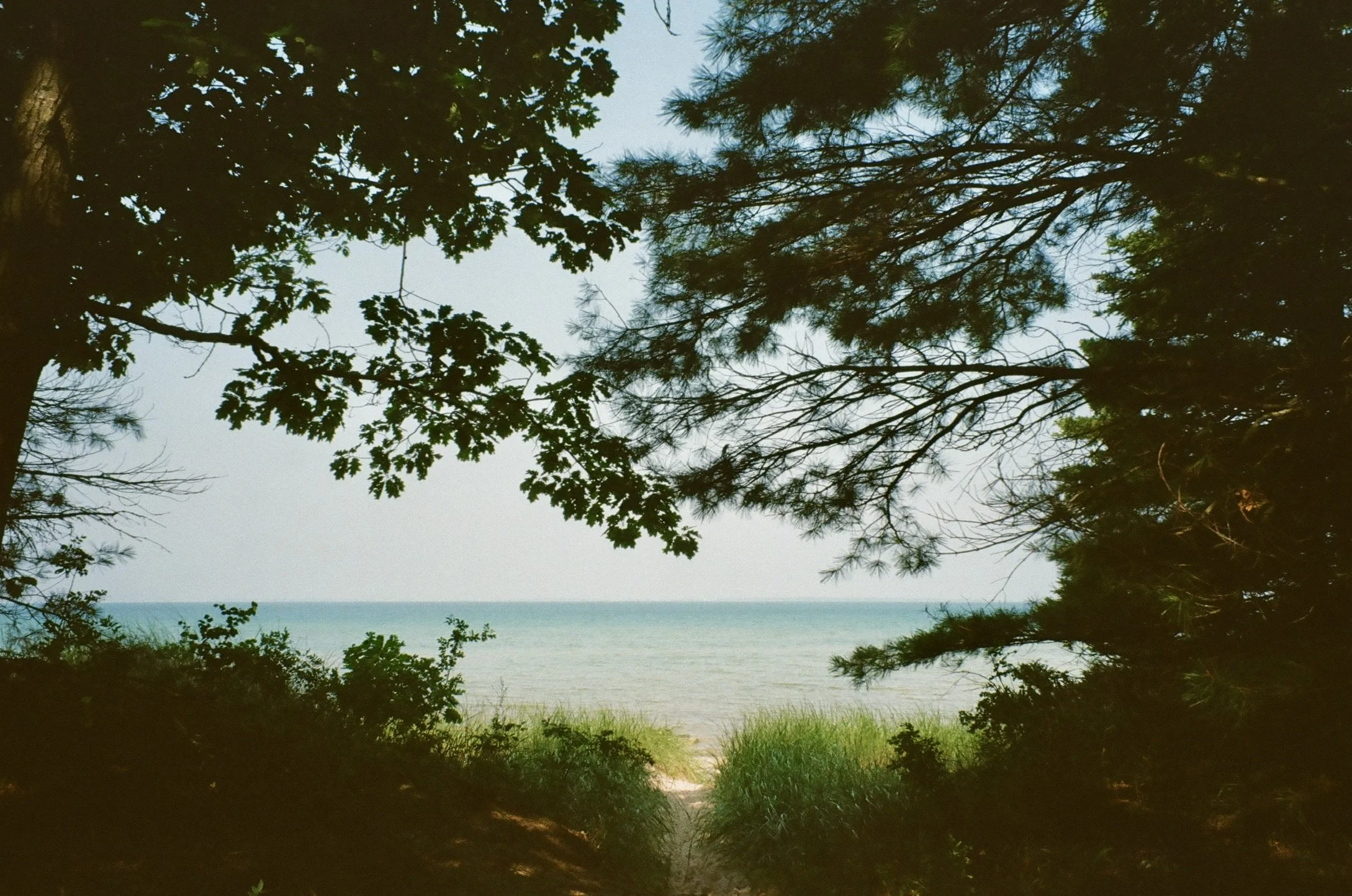 Wilderness State Park, Michigan, July 2025