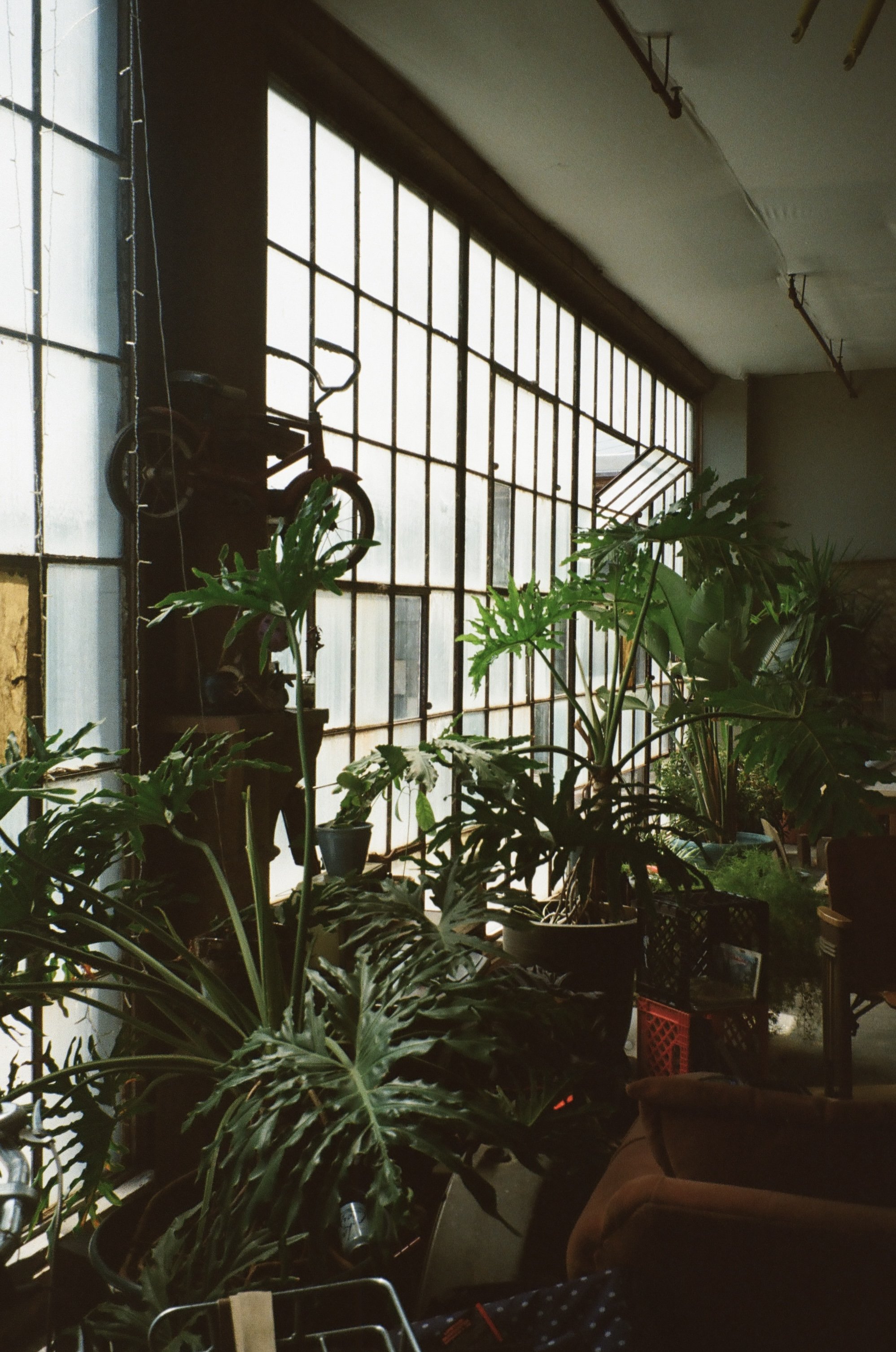 St. Louis, Missouri, April 2025