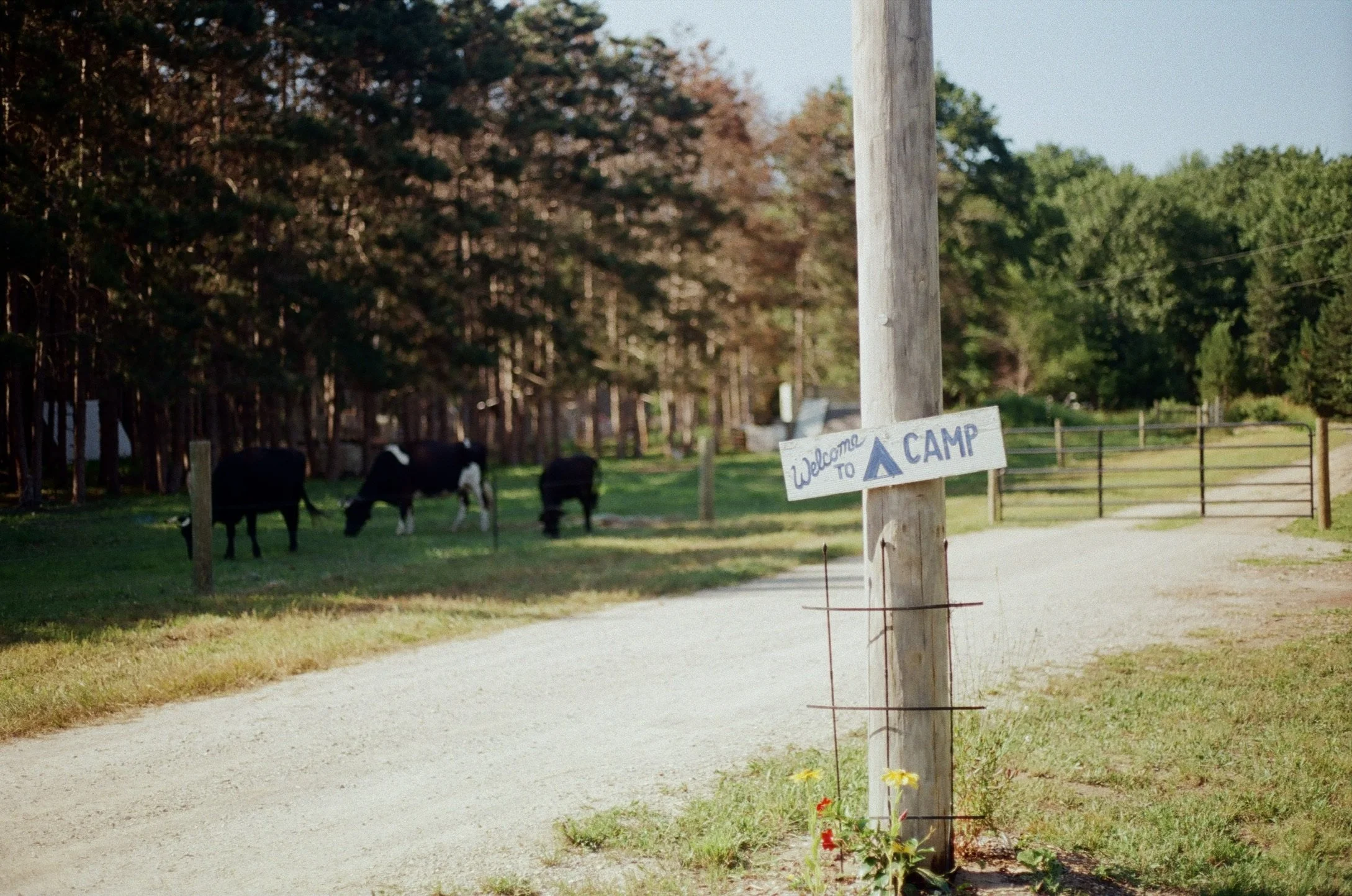 Maple City, Michigan, July 2025