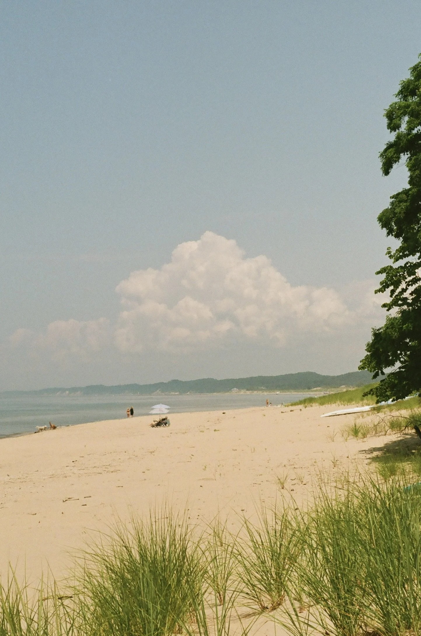 Douglas, Michigan, July 2024