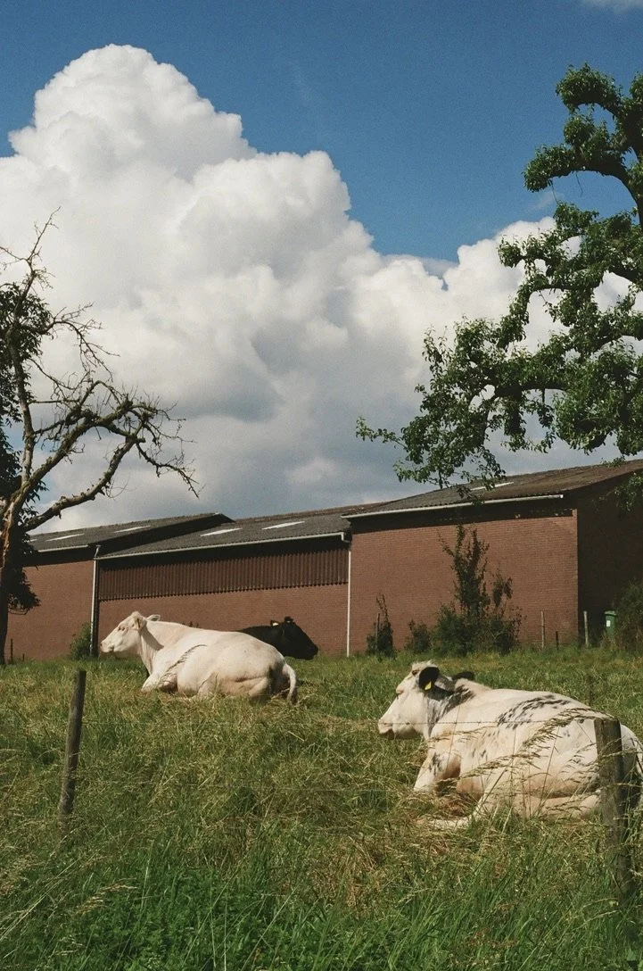 Eijsden, The Netherlands, May 2024