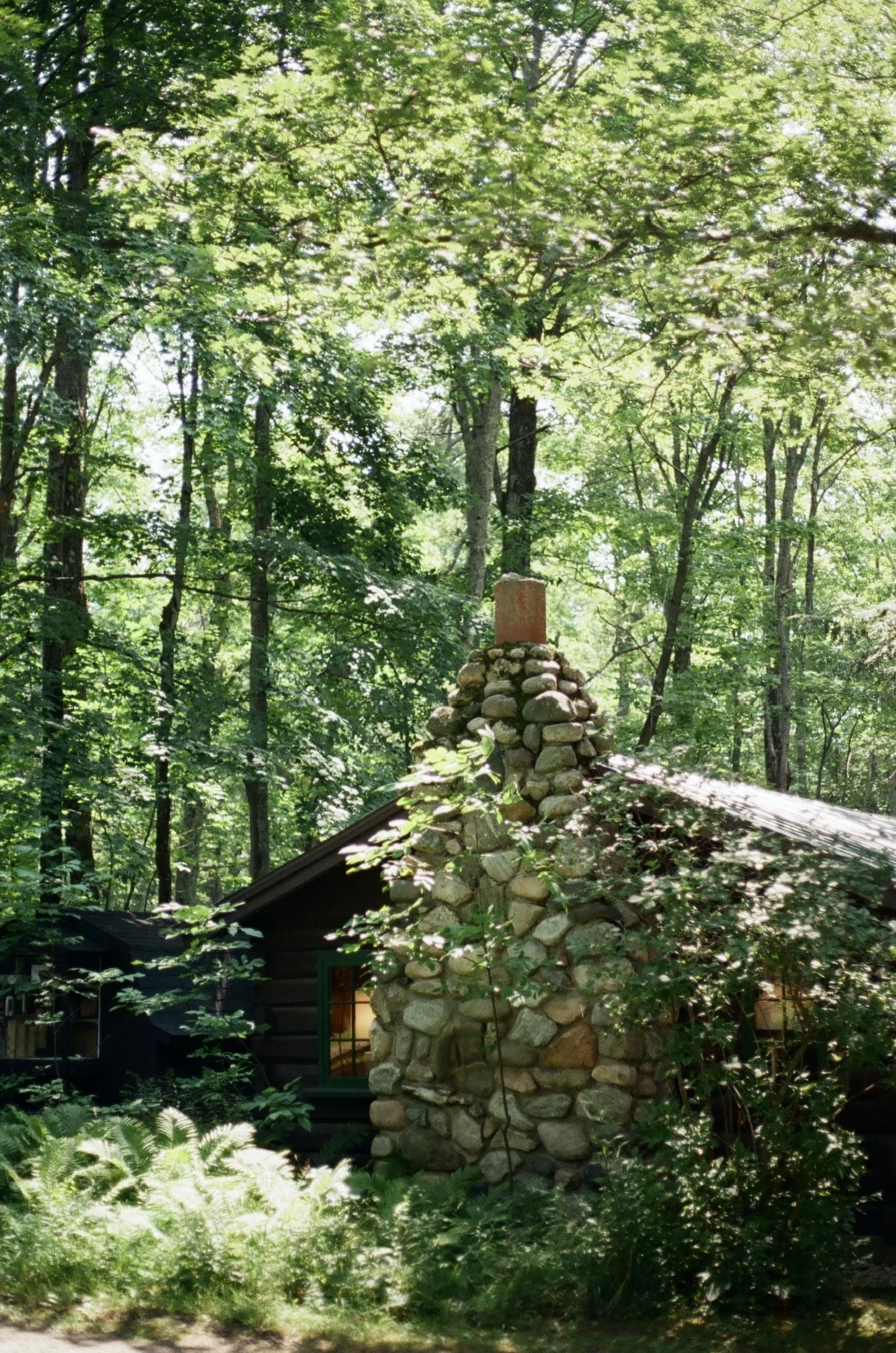 Friendship Township, Michigan, July 2025