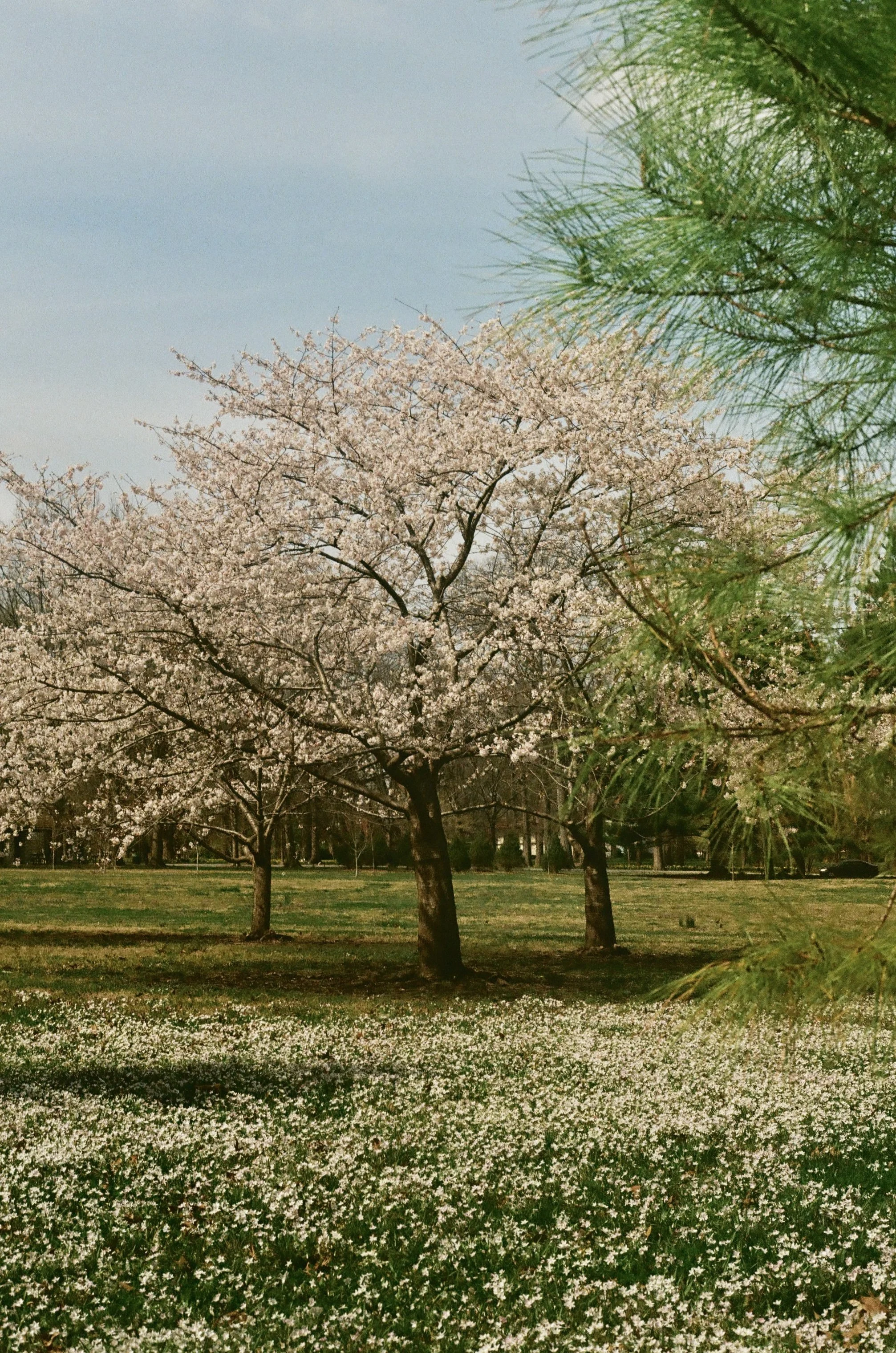 St. Louis, Missouri, April 2025