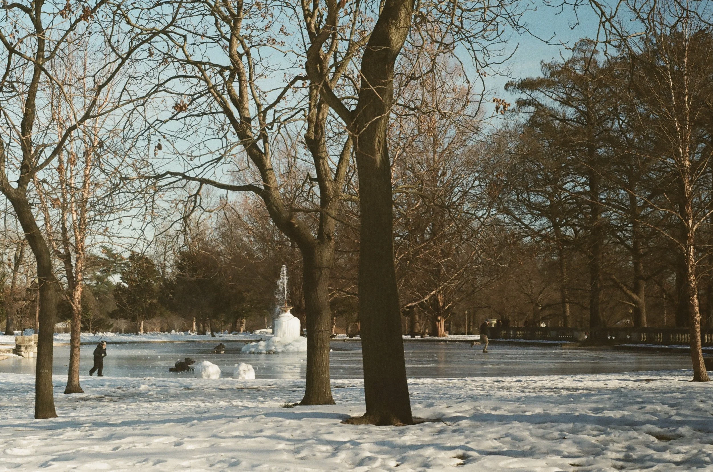 St. Louis, Missouri, January 2025