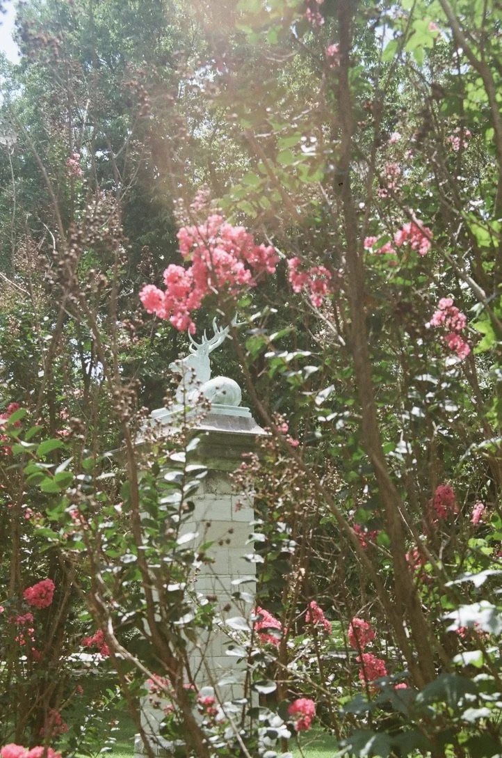 St. Louis, Missouri, July 2023