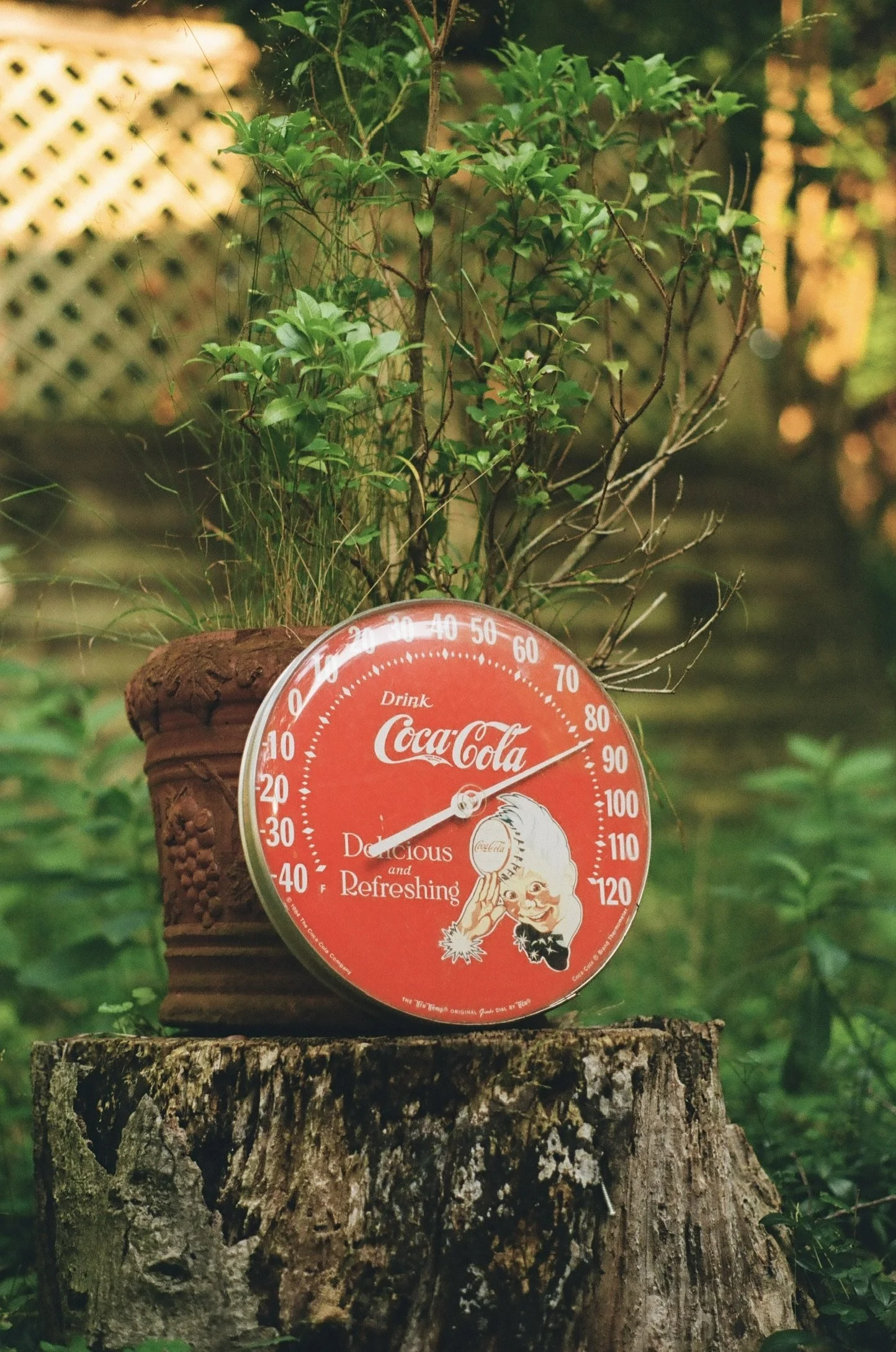 Douglas, Michigan, July 2024