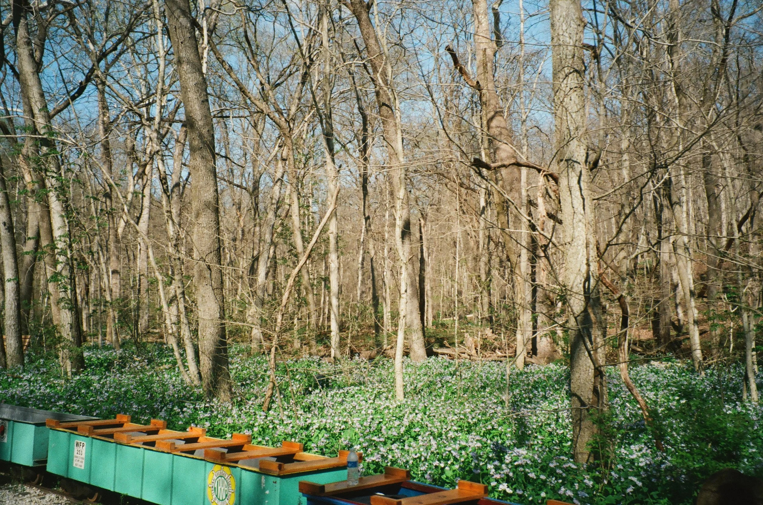 Ballwin, Missouri, April 2025