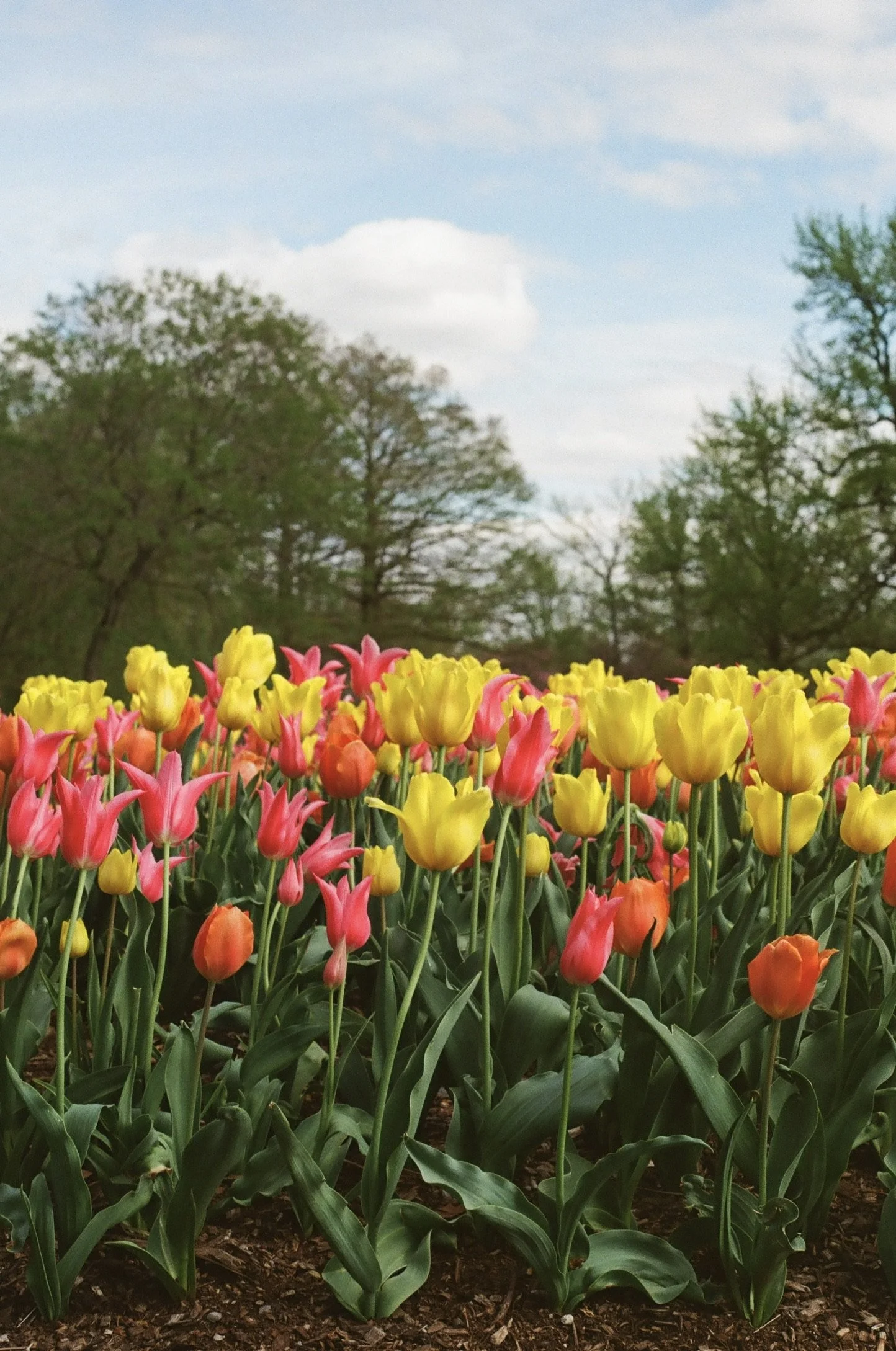 St. Louis, Missouri, April 2024