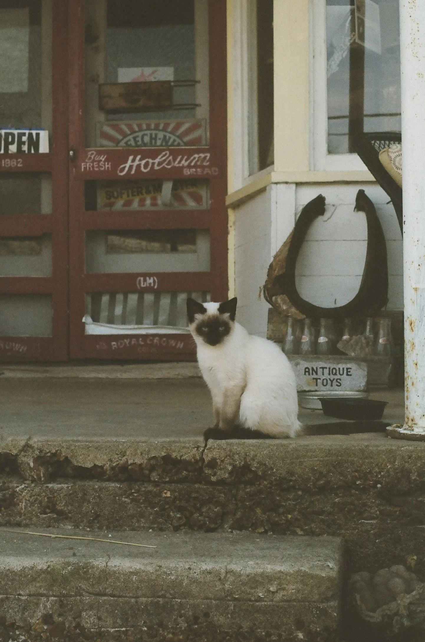 Lesterville, Missouri, October 2024