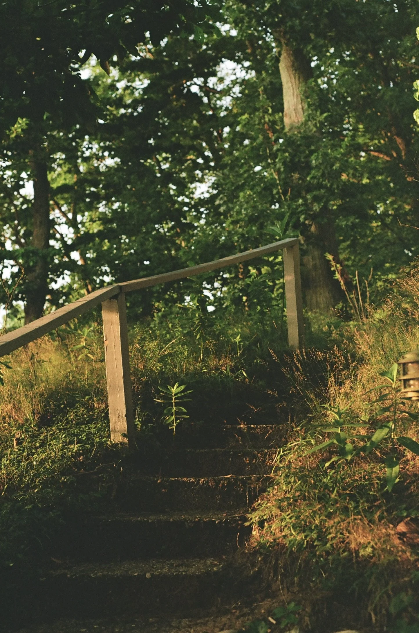 Douglas, Michigan, July 2024