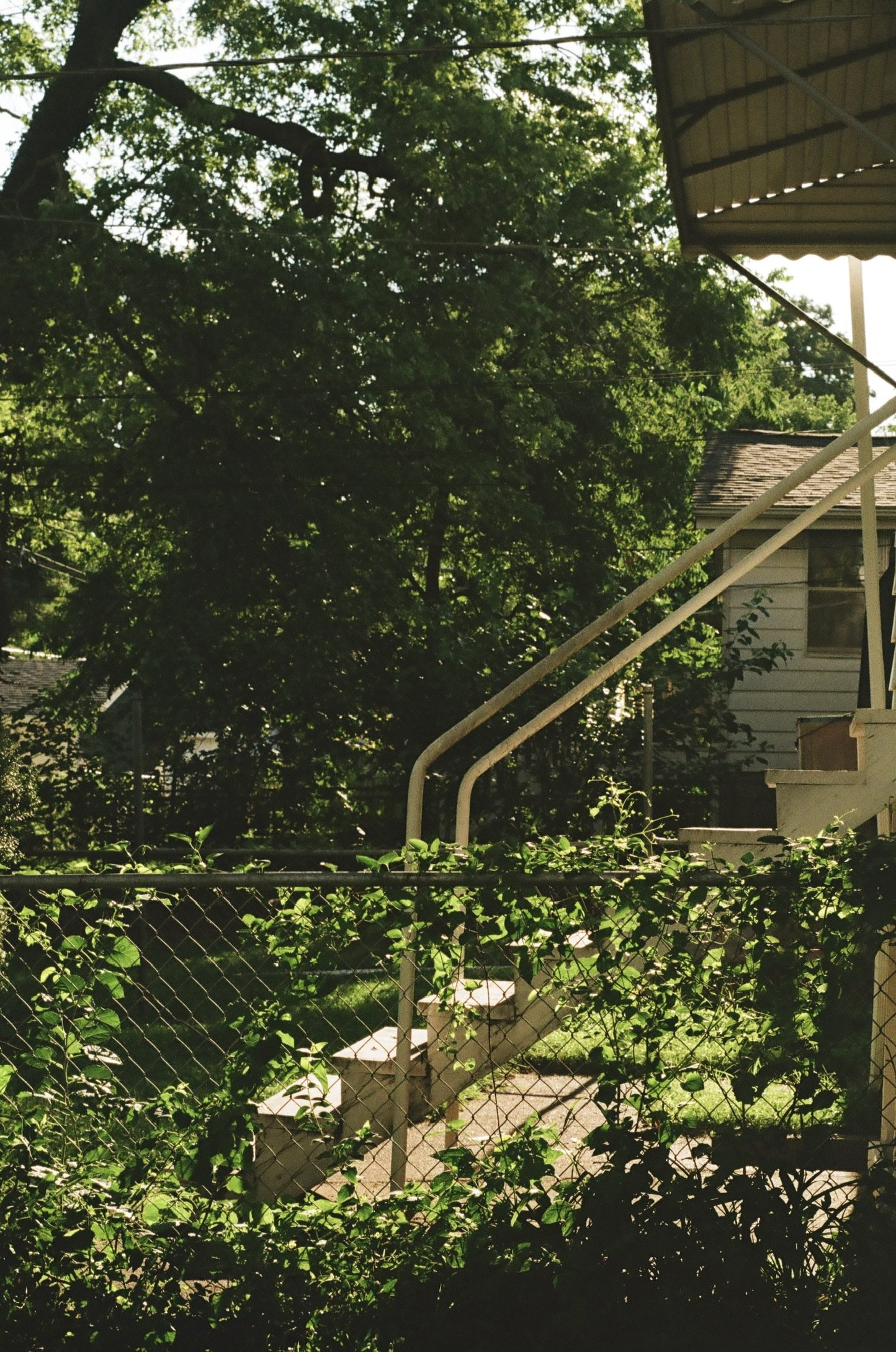 St. Louis, Missouri, July 2024