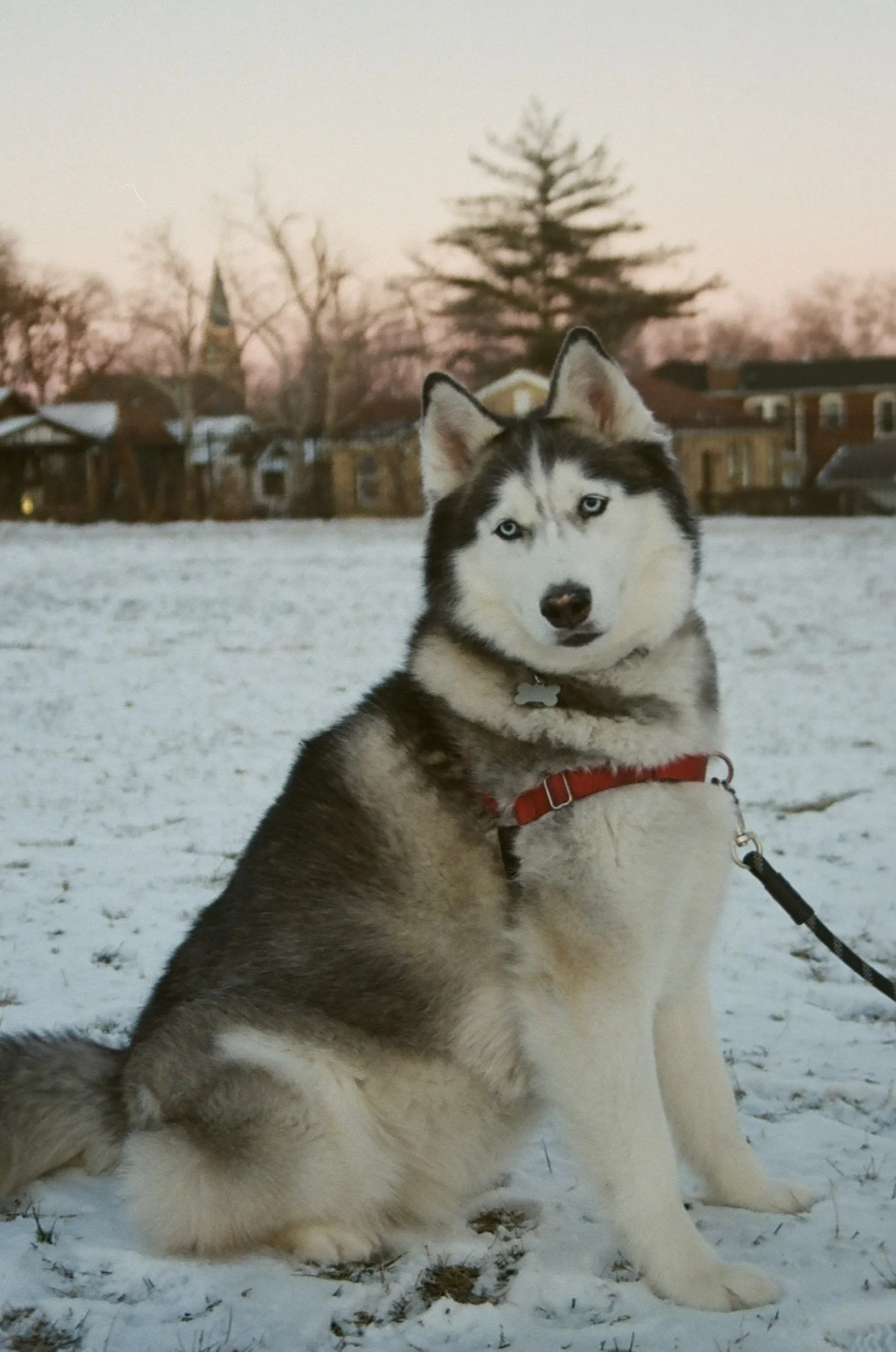 St. Louis, Missouri, January 2024