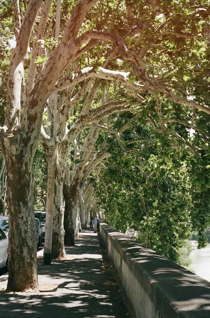 Rome, Italy, June 2024