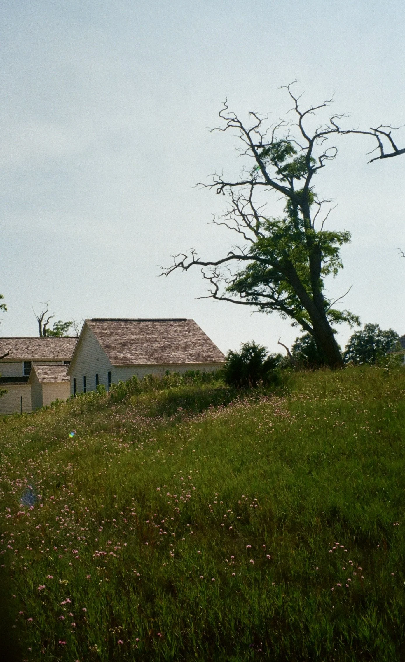 Glen Haven, Michigan, July 2025