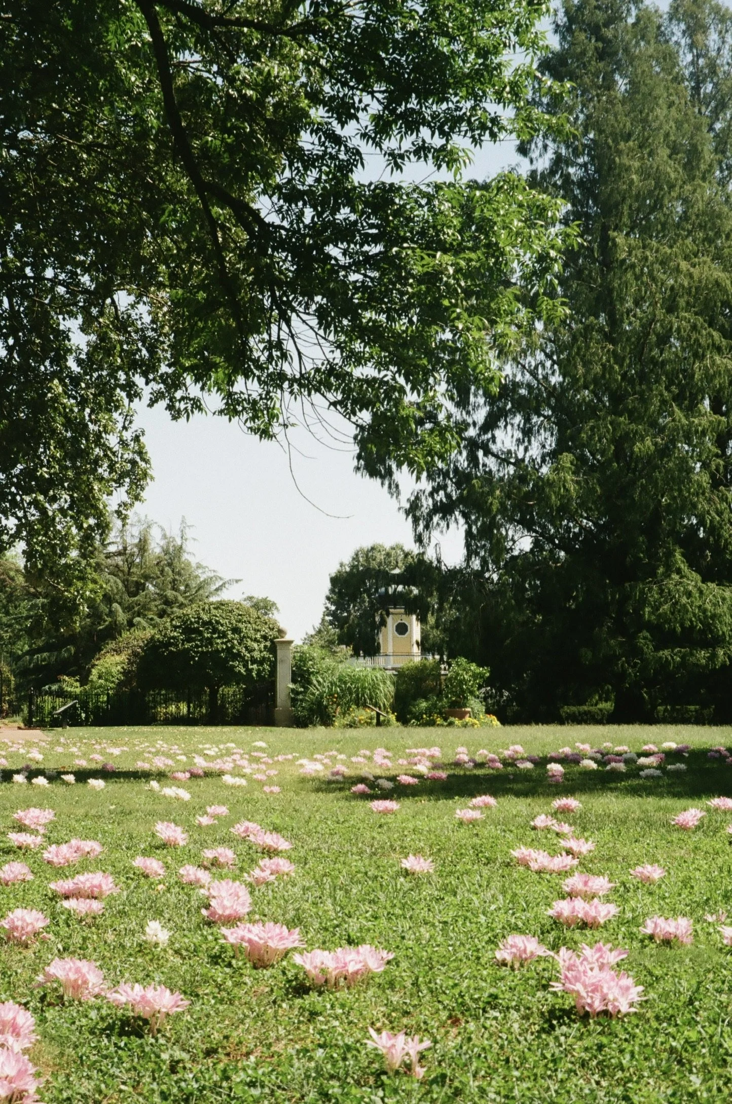 St. Louis, Missouri, July 2023