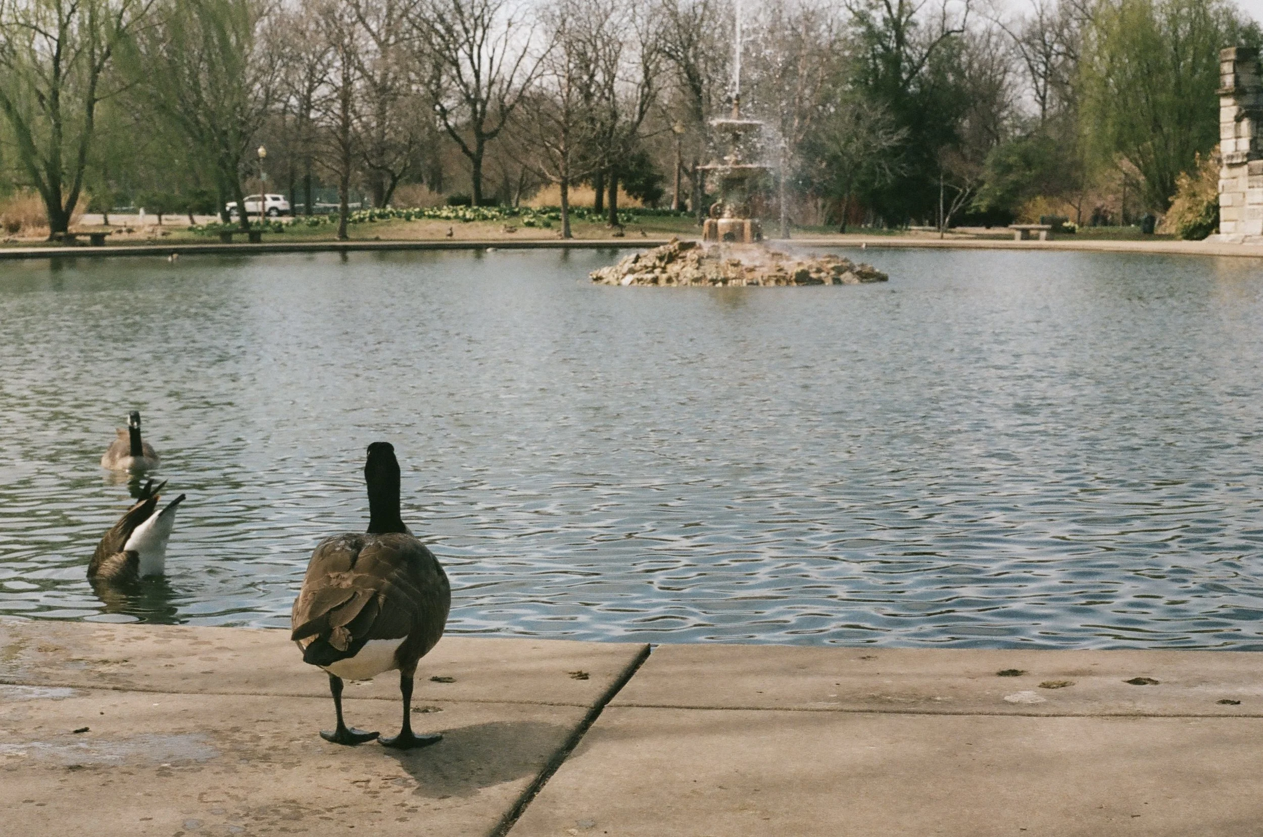 St. Louis, Missouri, March 2025