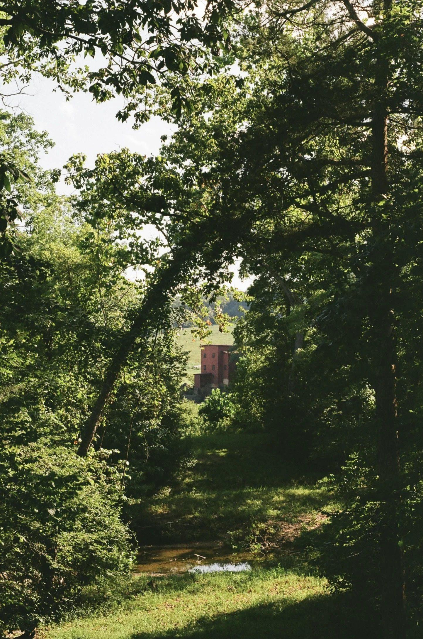 Davisville, Missouri, August 2024