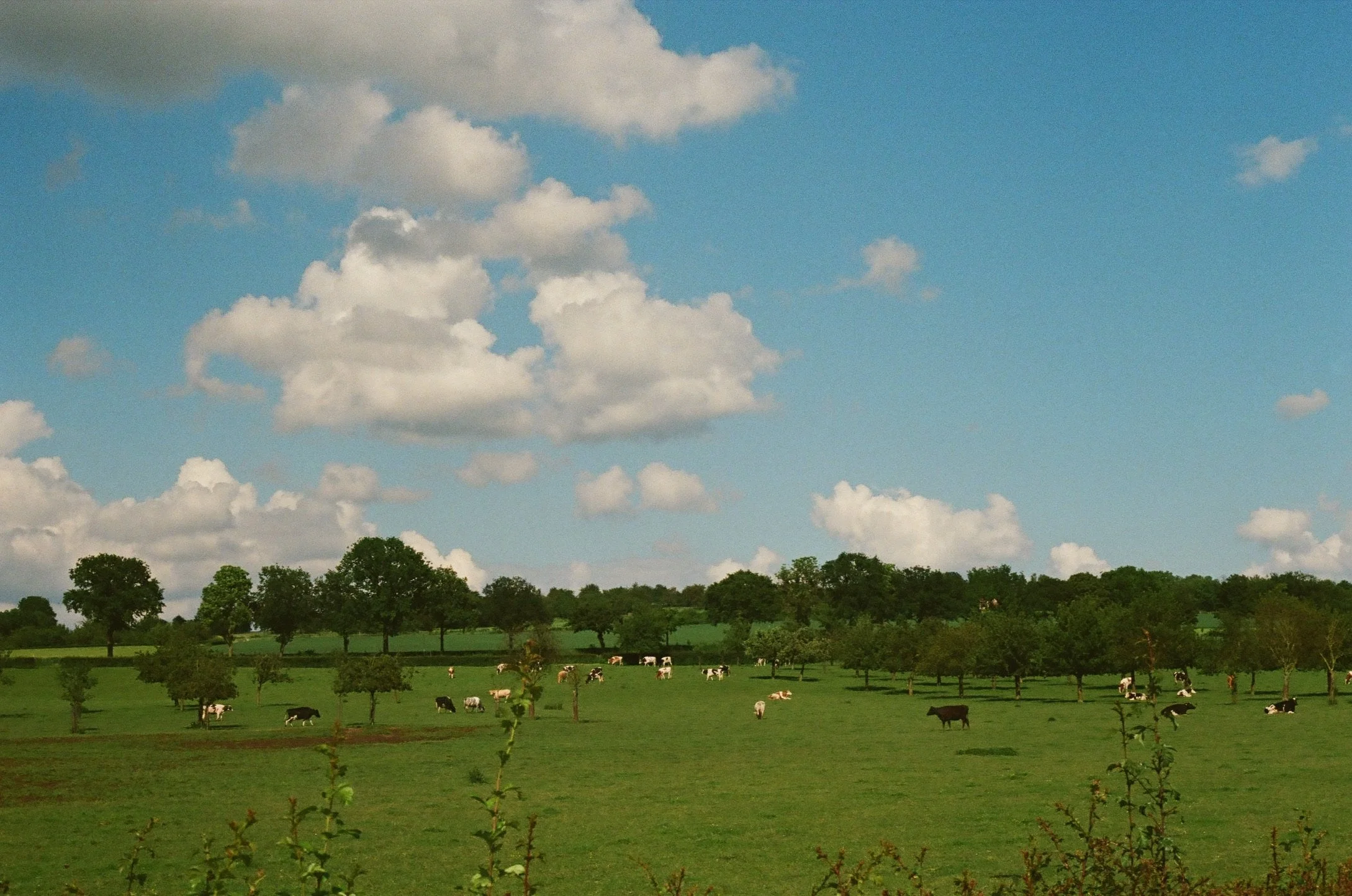 Eijsden, The Netherlands, May 2024