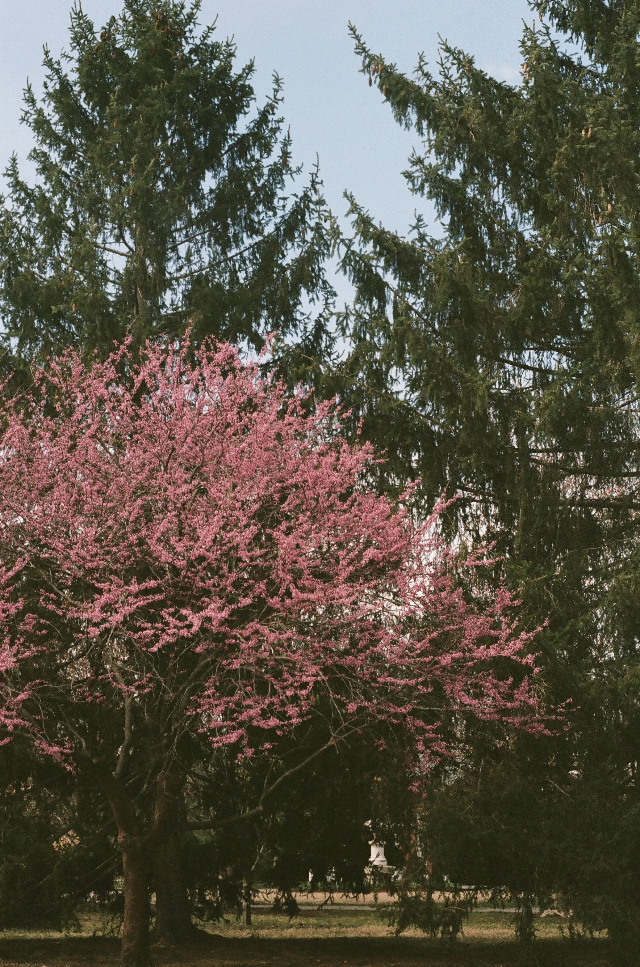 St. Louis, Missouri, March 2025