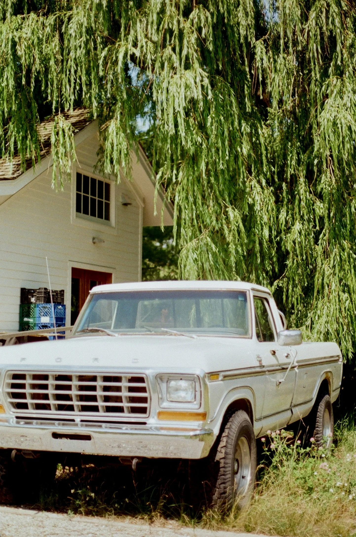 Glen Arbor, Michigan, July 2025