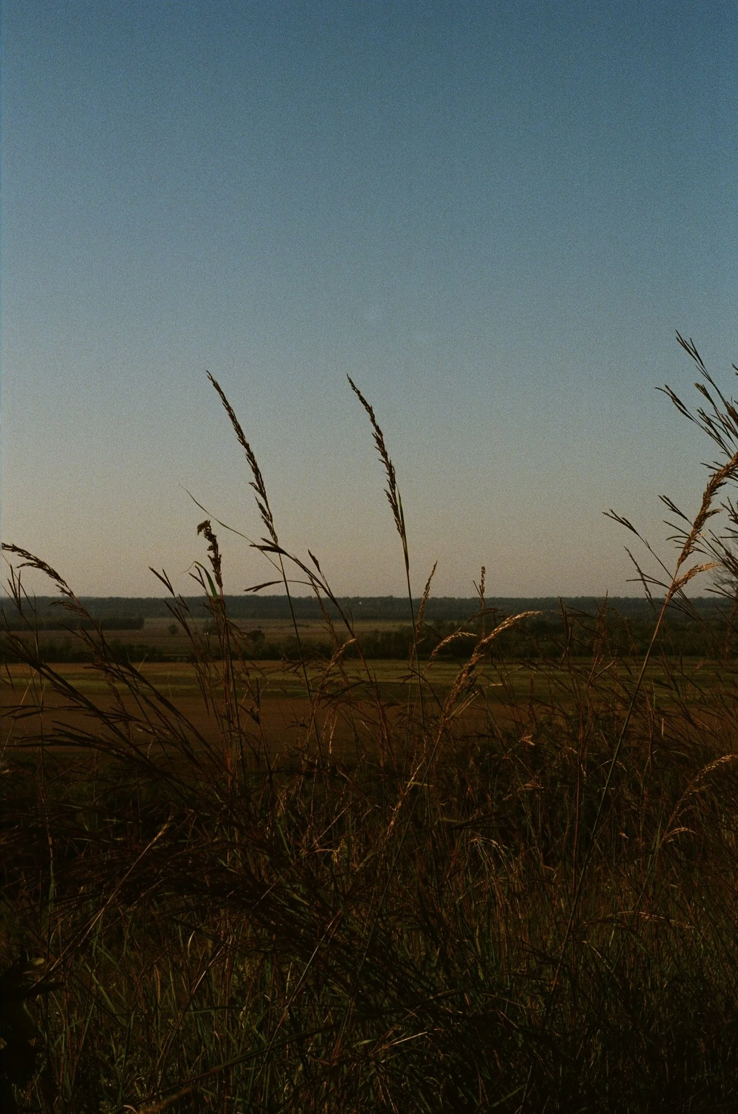 Valmeyer, Illinois, October 2024