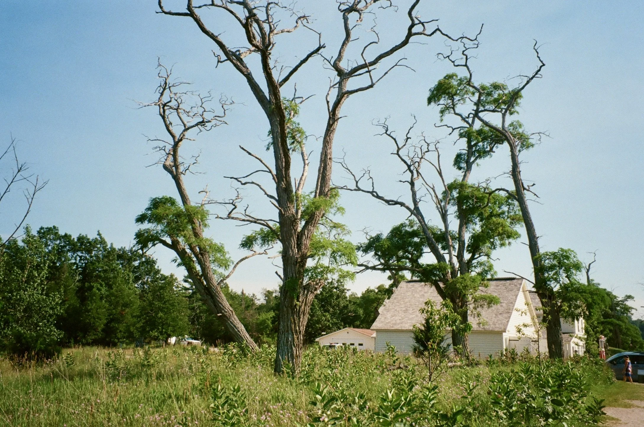 Glen Haven, Michigan, July 2025