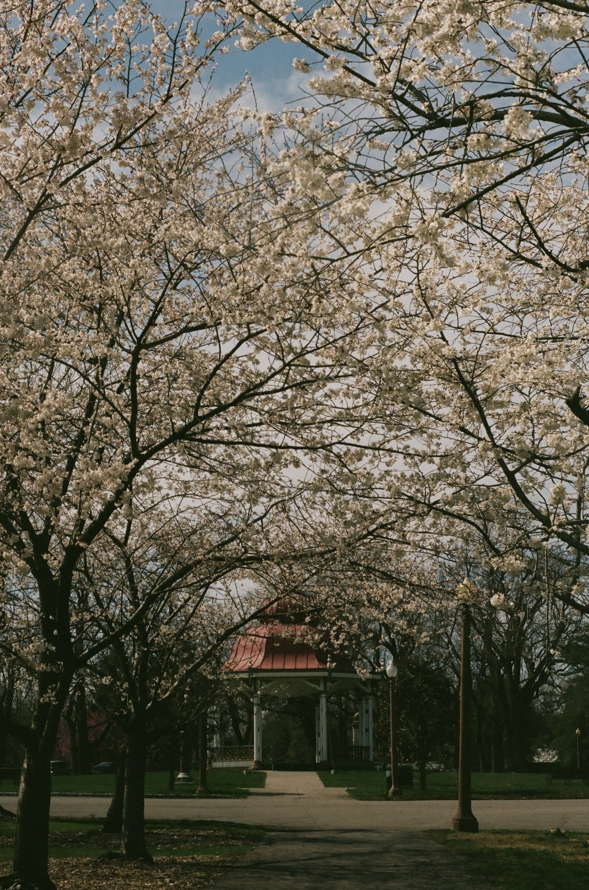 St. Louis, Missouri, March 2025