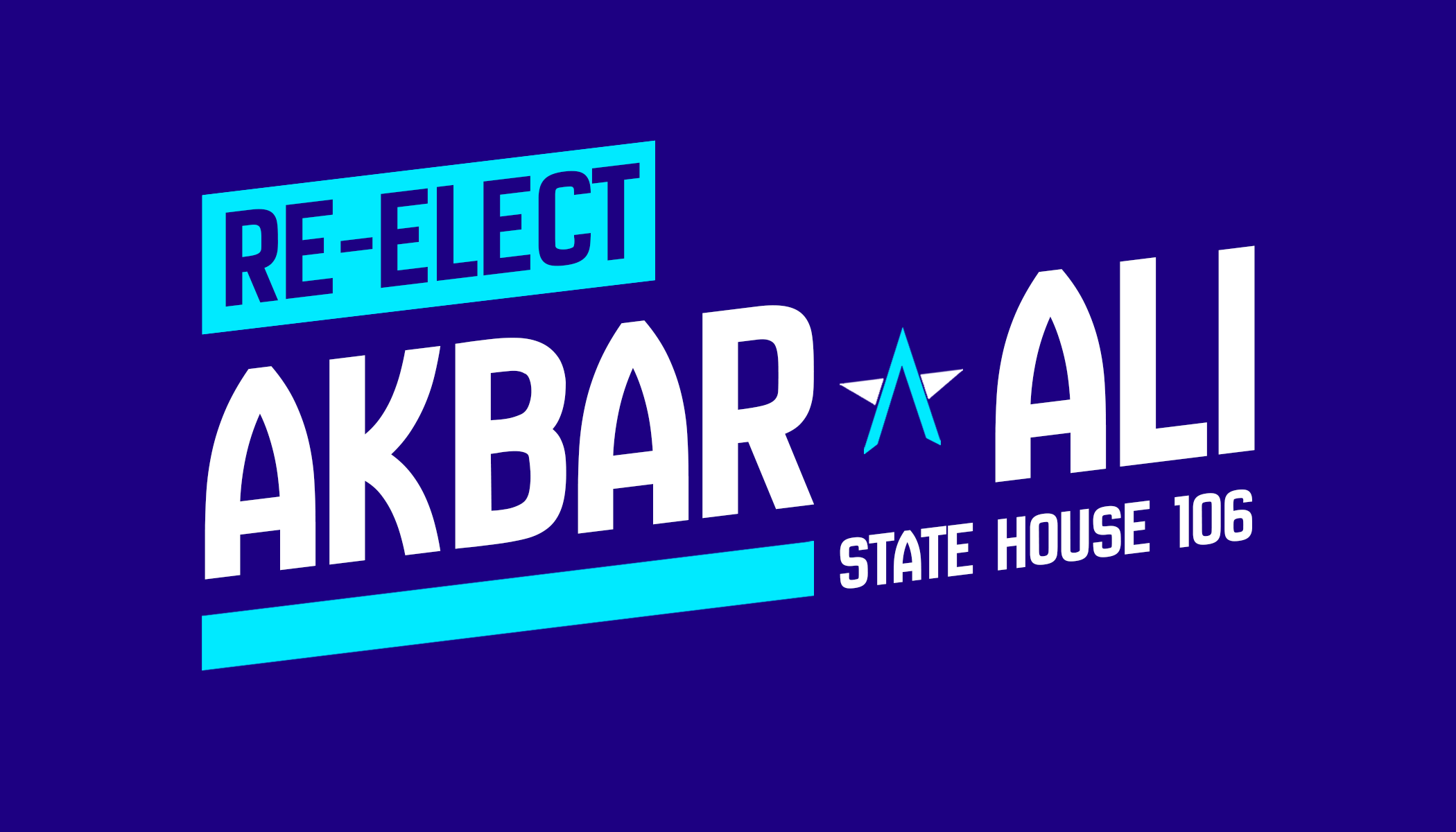 Re-Elect Color Bkg.png