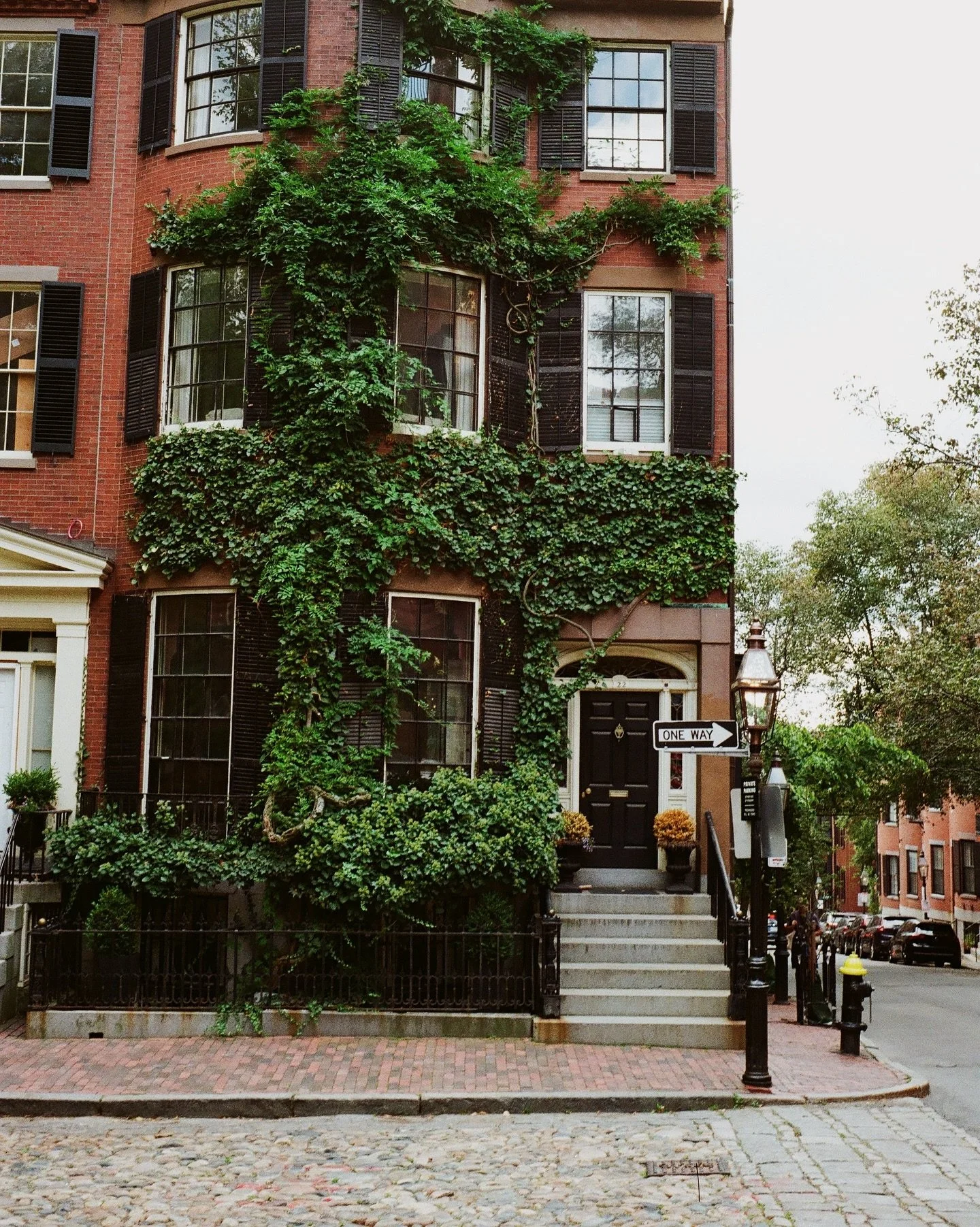 🦇 

🎞️ #Gold200 #Leica
📍Dev + scan: @bellowsfilmlab