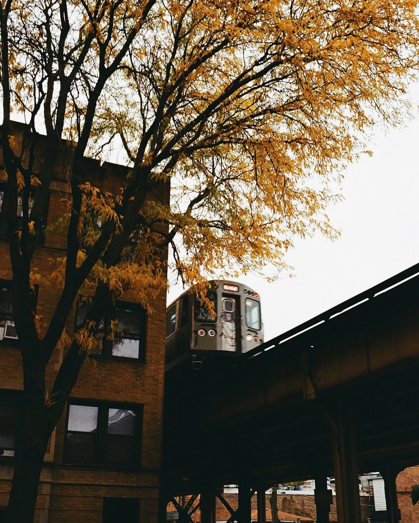 &lsquo;Tis time. 🌝